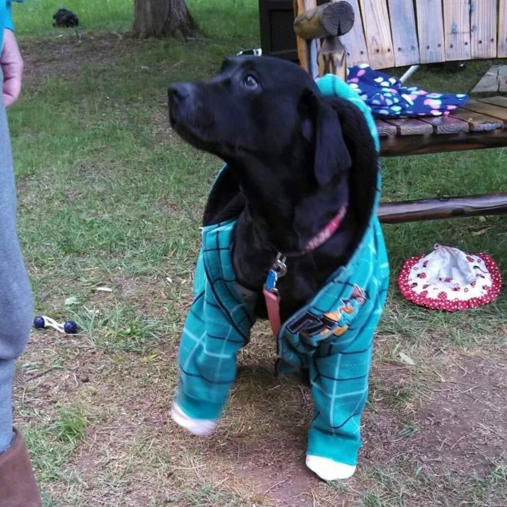 Meet your Posher, Stacy